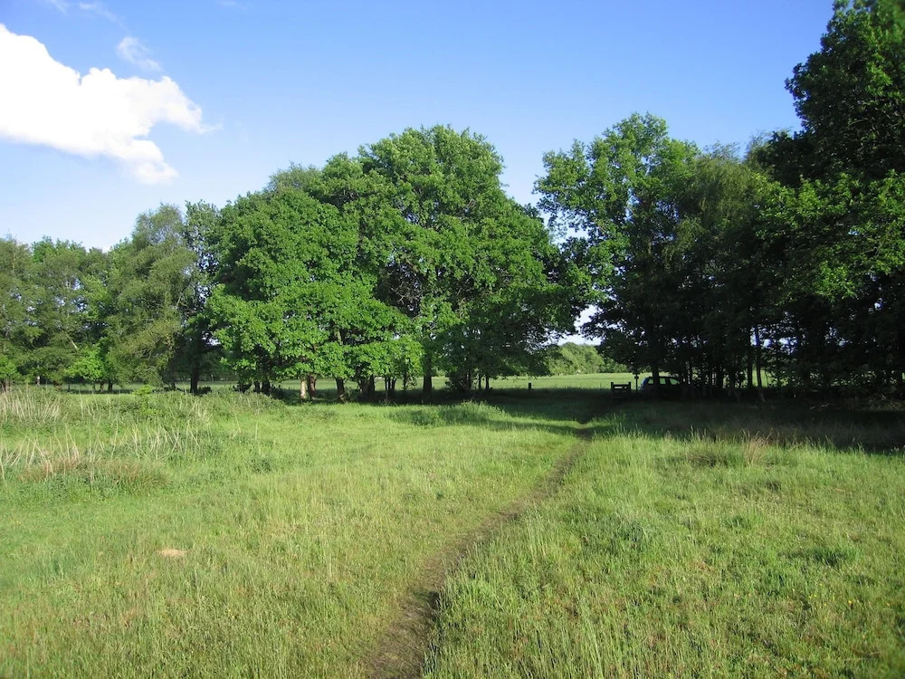 Beautiful Holiday Home in Dwingeloo With Garden