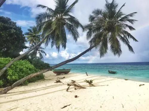Island Host