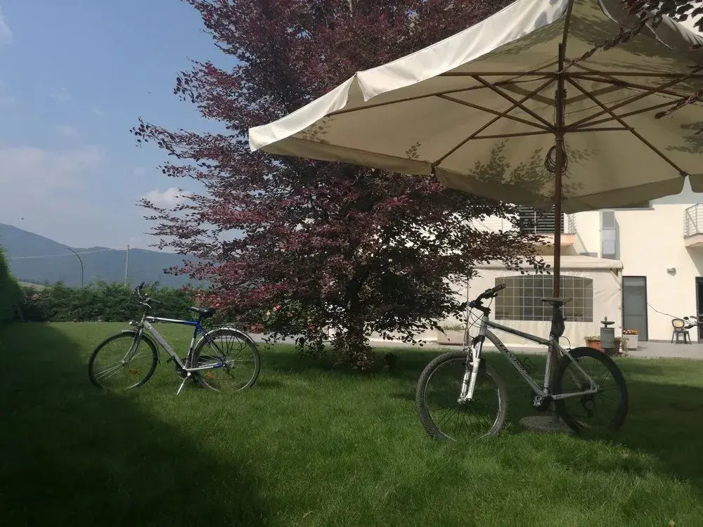 Draconerium Hotel