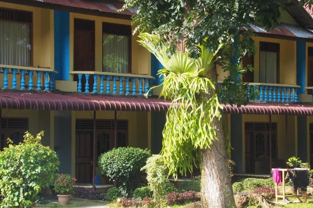 Wisma Leuser Sibayak & Jungle Trekking