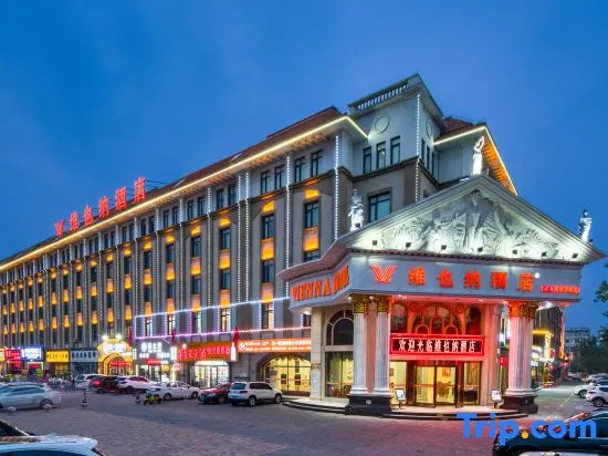 Vienna Hotel
