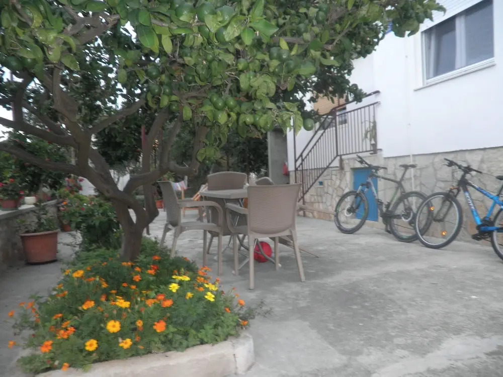 Apartment Alenka