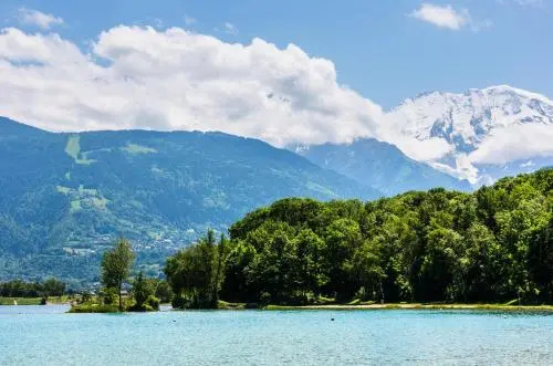 Appartement 5 Pers. Au Pied du Mont-Blanc 68999