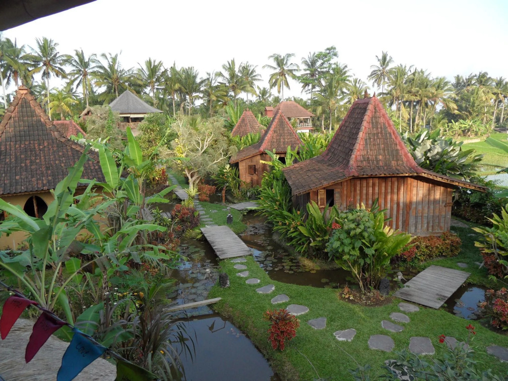 Dragonfly Village