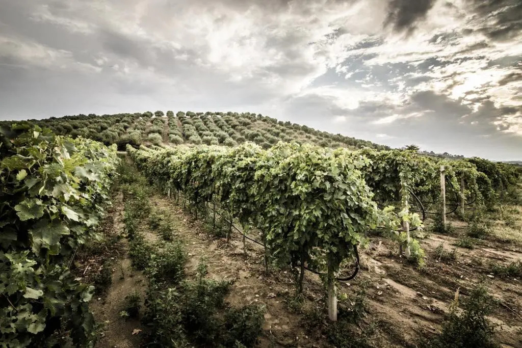 Agriturismo Il Giriatello