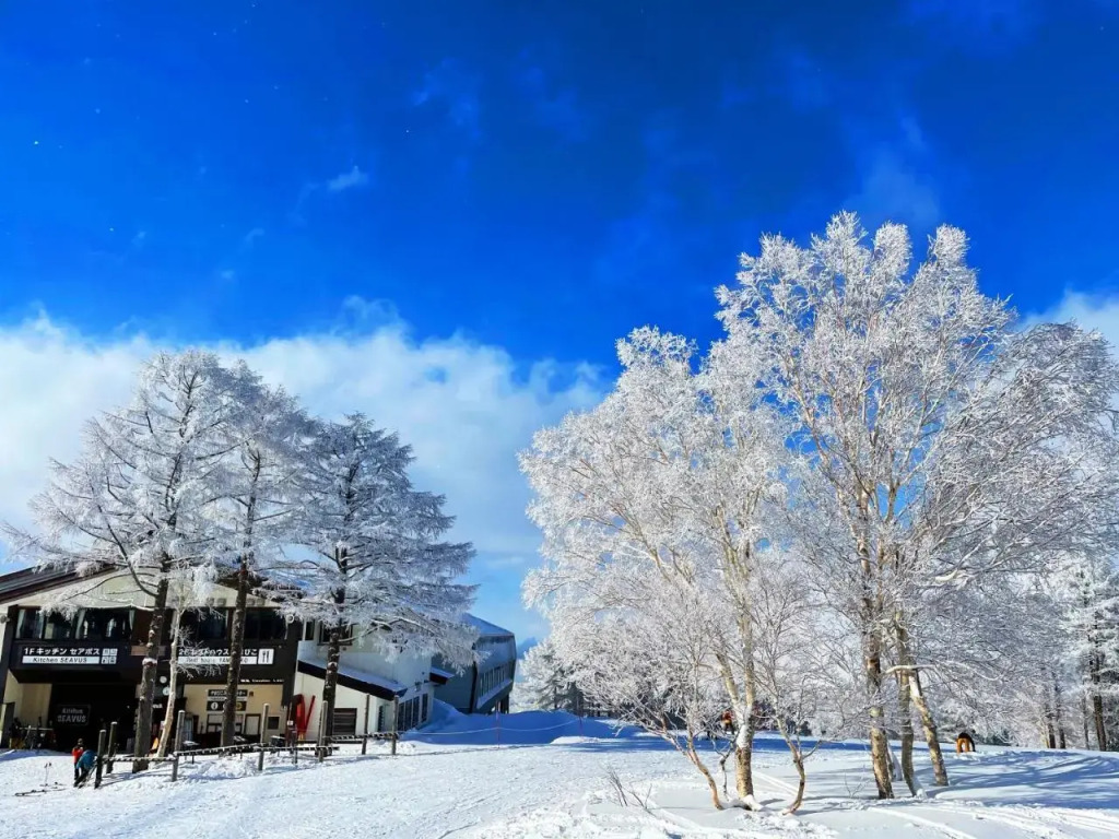 nozawasnow