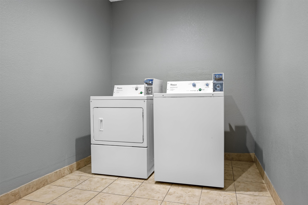 Best Western South Plains Inn & Suites