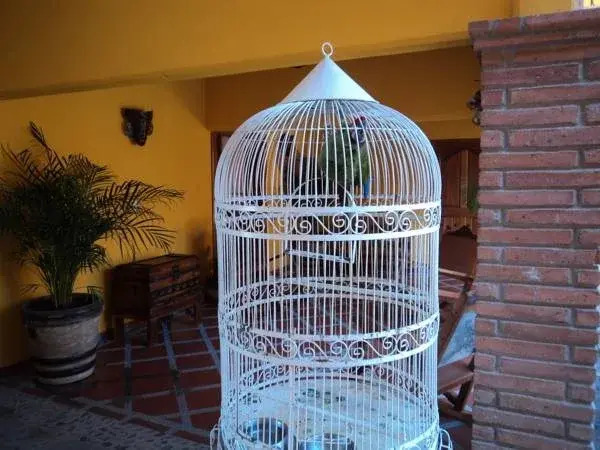Rincon Magico