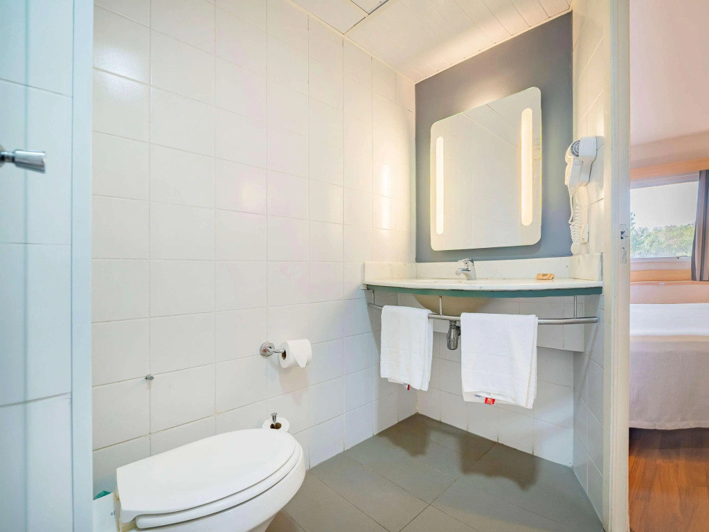 ibis Piracicaba