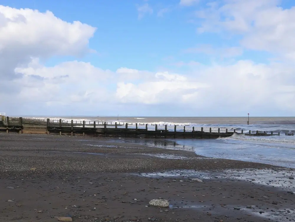 Driftwood
