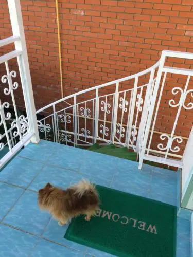 Nadezhda Guest House