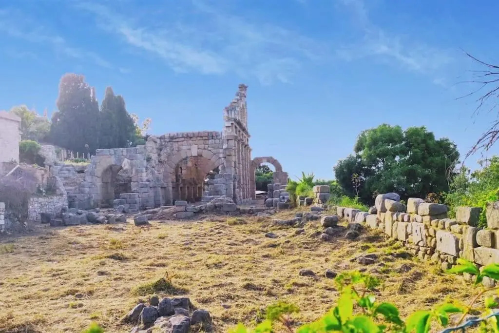 "Il Gelso" in Villa G reco