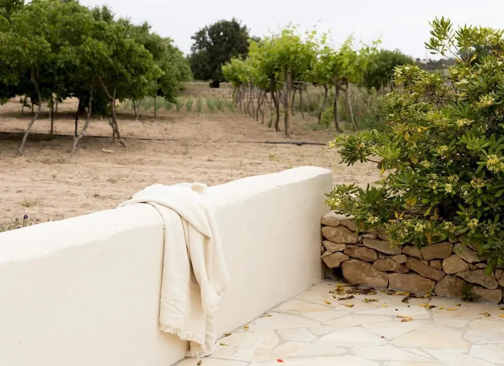 Apartamentos Marcelino - Formentera Break
