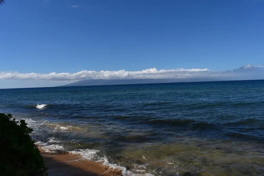 The Mahana
