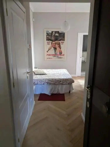 Charming apartment in Milan - Brera