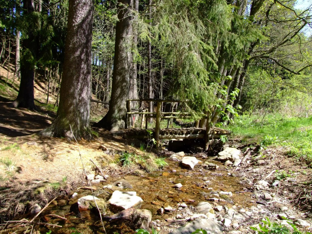 Waldgasthof & Hotel Am Sauwald