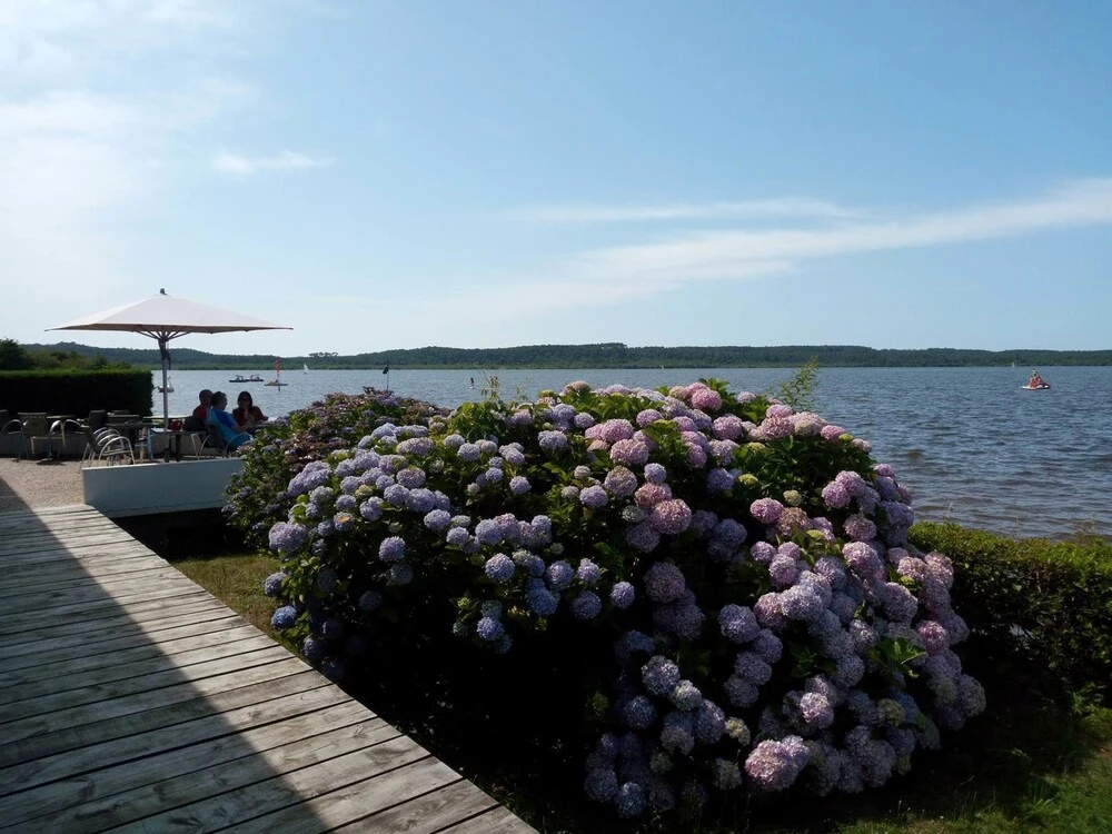 Les Rives du Lac de Léon
