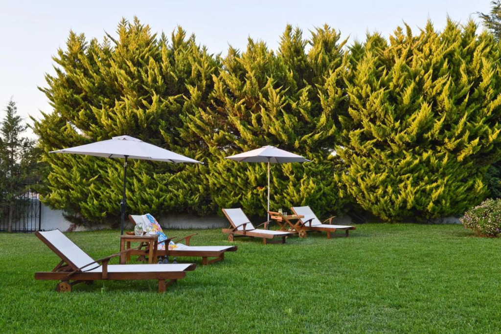 Villa John Dimeon Kato Achaia With Pool - Happy Rentals