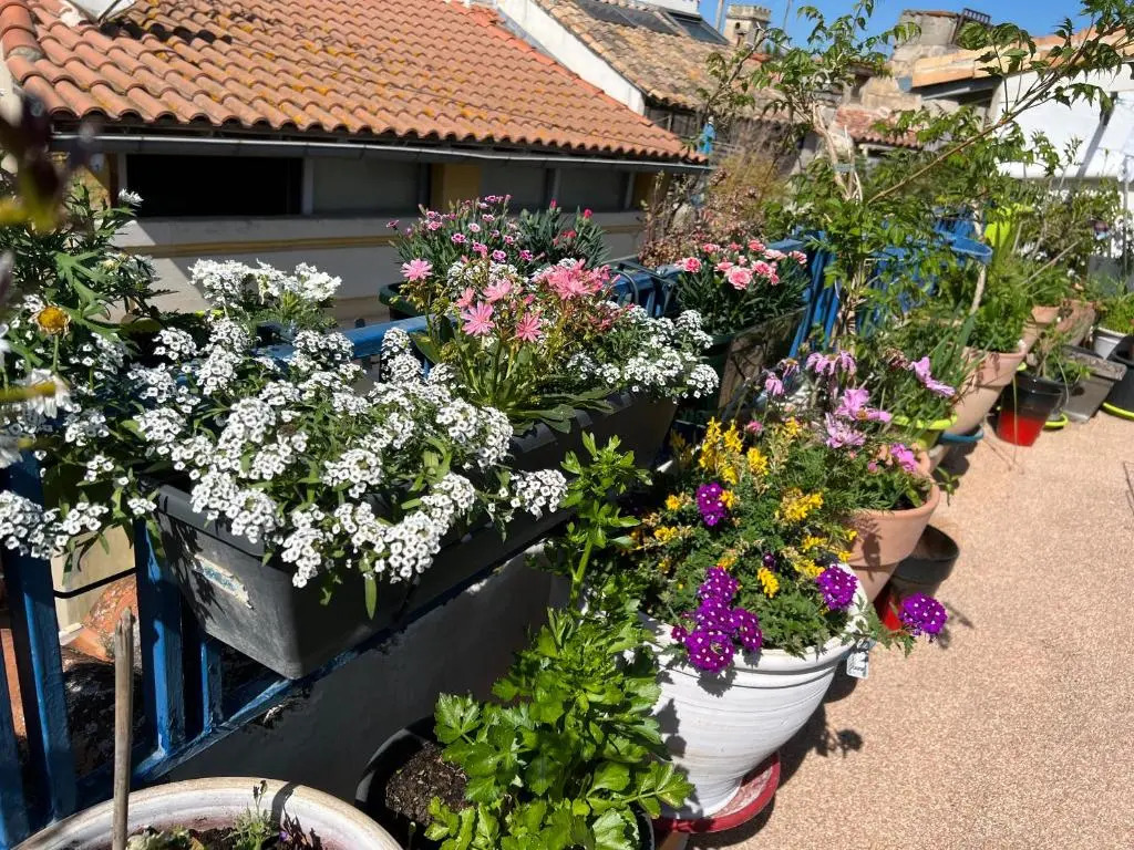 Loft Apartment , La Terrasse Centre Ville dArles