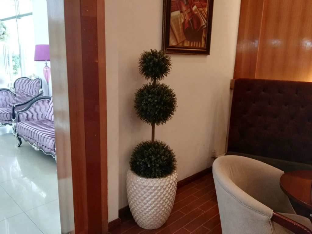Rosa Valls Hotel