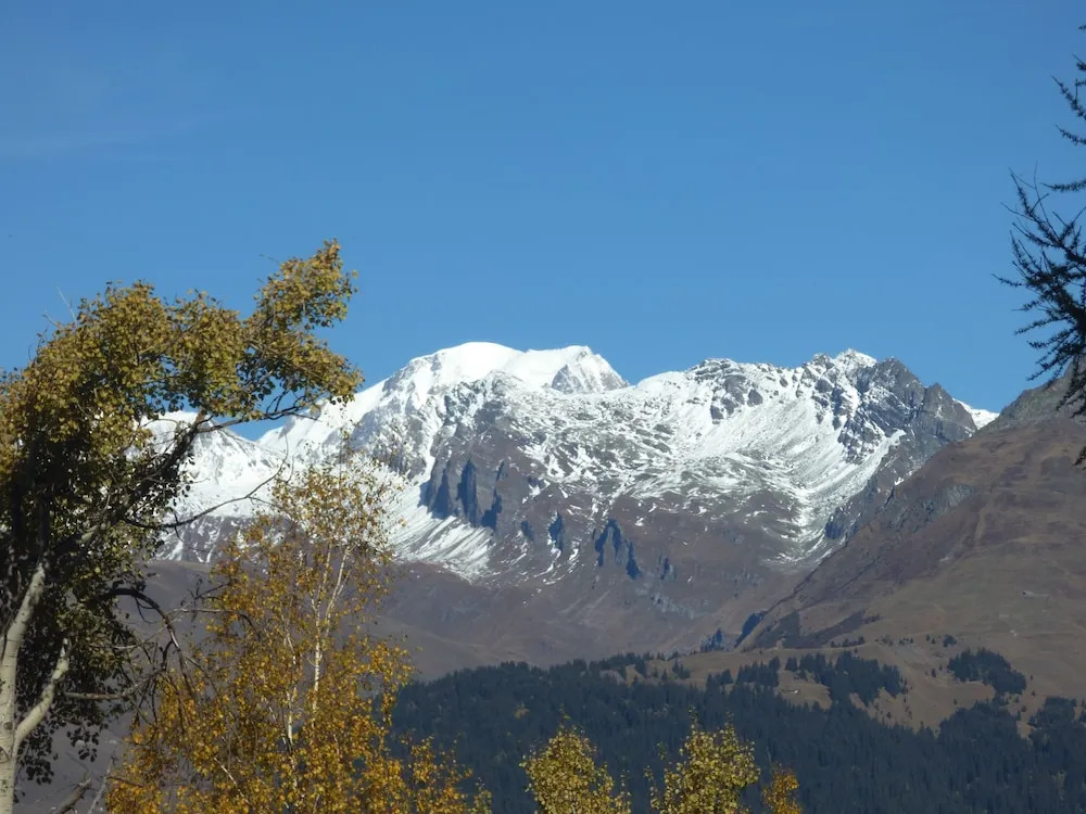 Chalet Village Courbaton