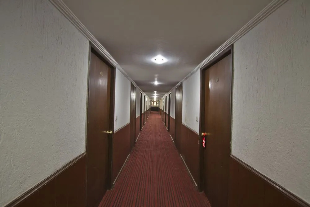 OYO 8606 Hotel Snow Princess