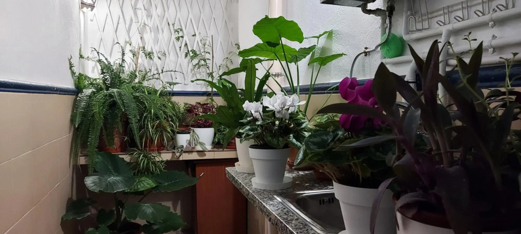 Apartamentos Los Descalzos