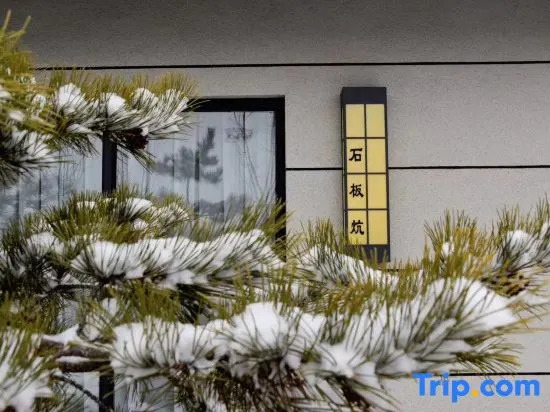 DiJianNanShan Hotel (Yan'an Convention Center New District Government)