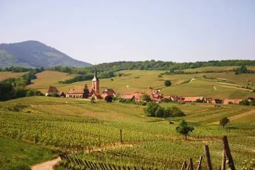 Hôtel Winzenberg bed and breakfast