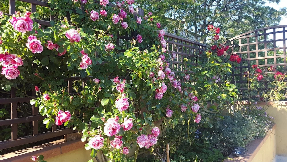 B&B La Valle