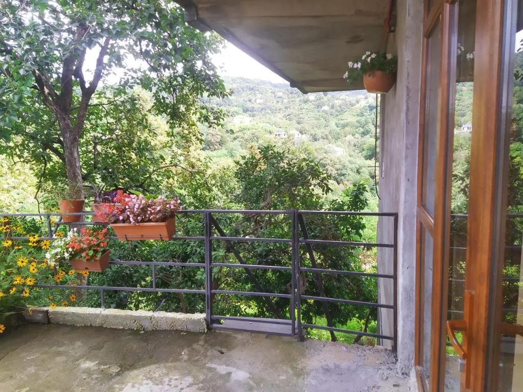 53 jincharadze street Makhinjauri, Batumi