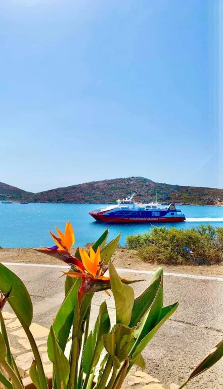 Aegean Muses