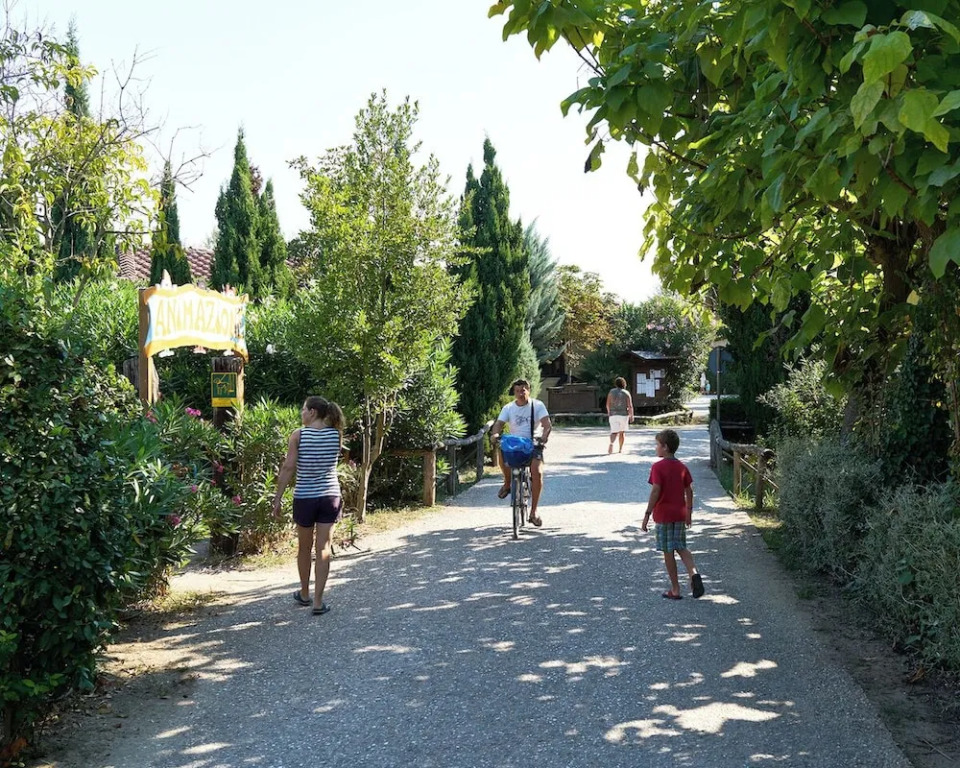 Comfortable Campsite-chalet G10 Tuscany Near sea