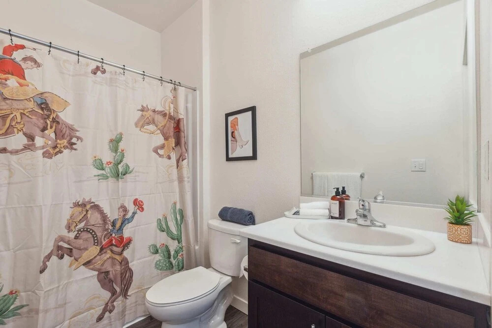 Modern Apartment With Upgraded Amenities Near CSU