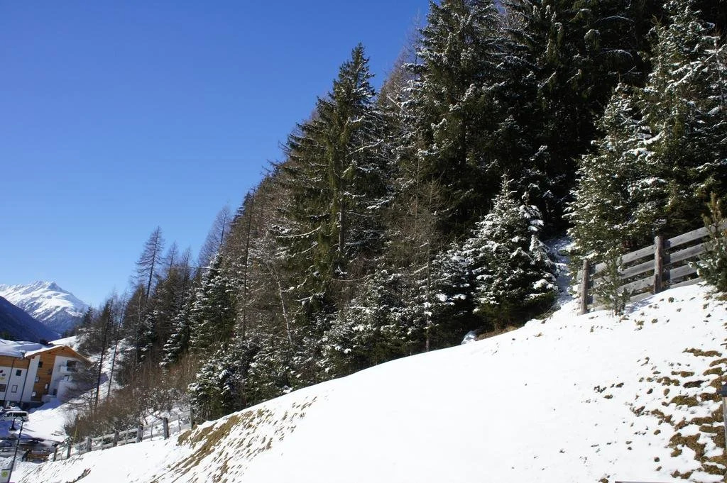 alpinea Appartements