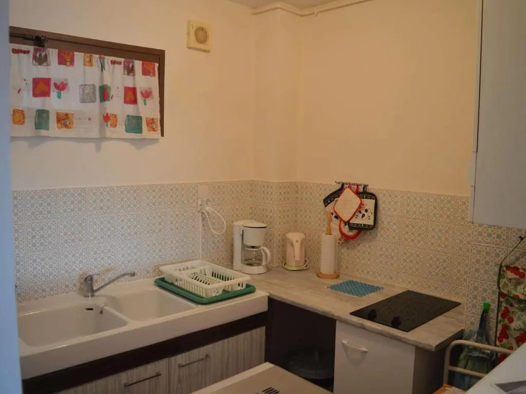 Appartement Banyuls-sur-Mer, 2 pièces, 4 personnes - FR-1-225C-26