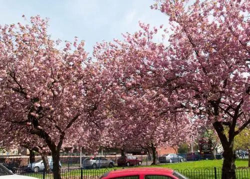 Westfield Court B&B