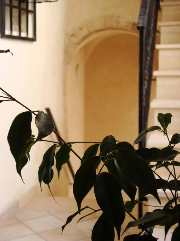 Il Rosone