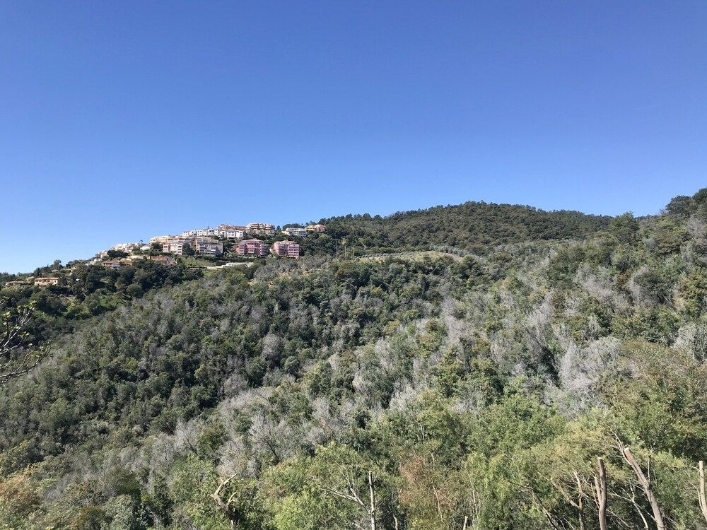 VILLA COLINA Cannes Mandelieu