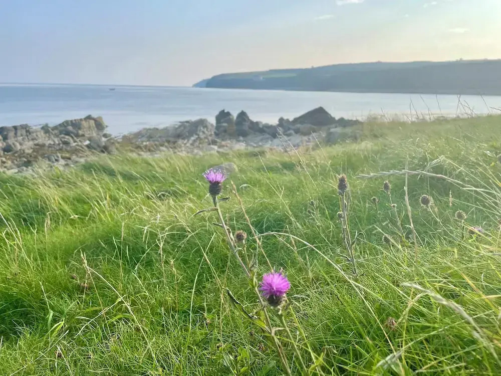 Ceol na Mara