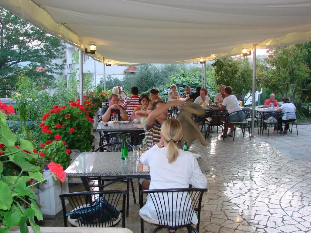 Pansion Dragica