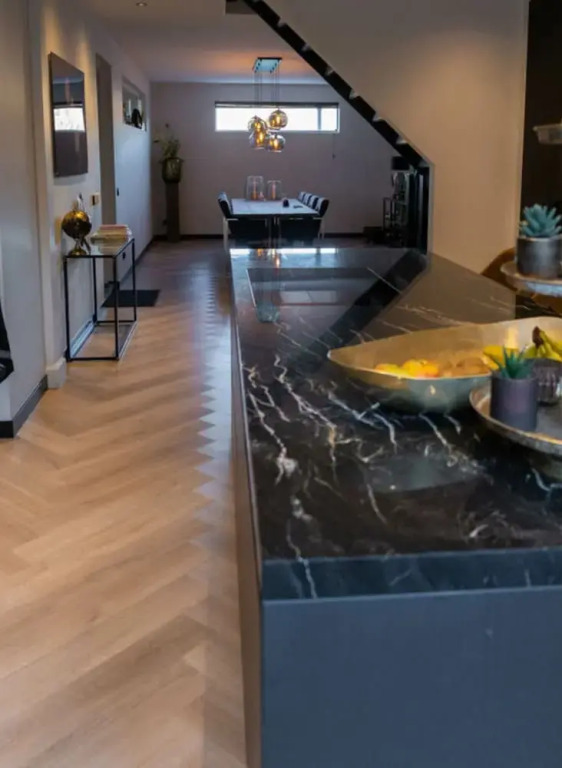 Luxury Home Egmond