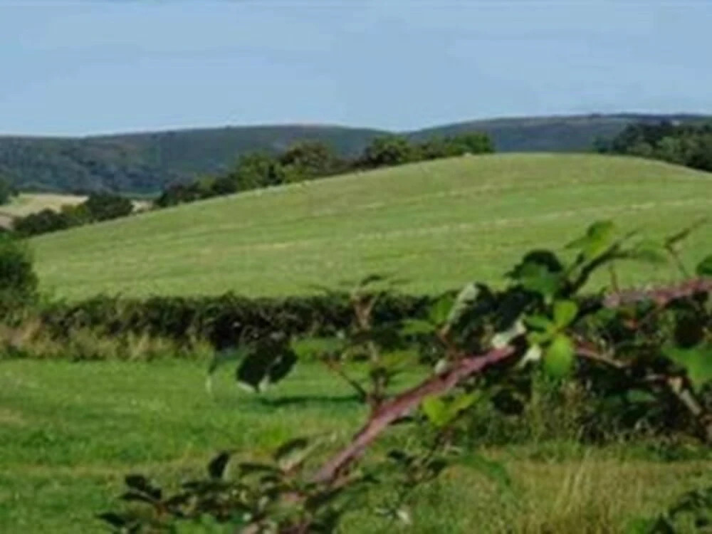 Catwell House