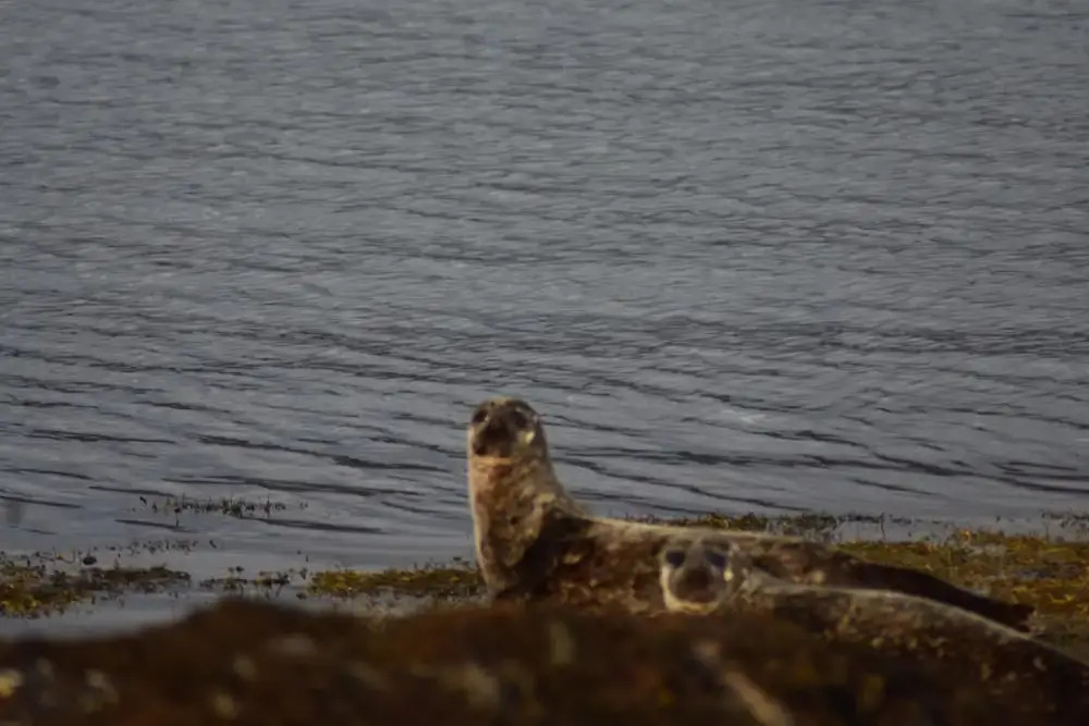 Pod Beag beside the sea Isle of Eriskay