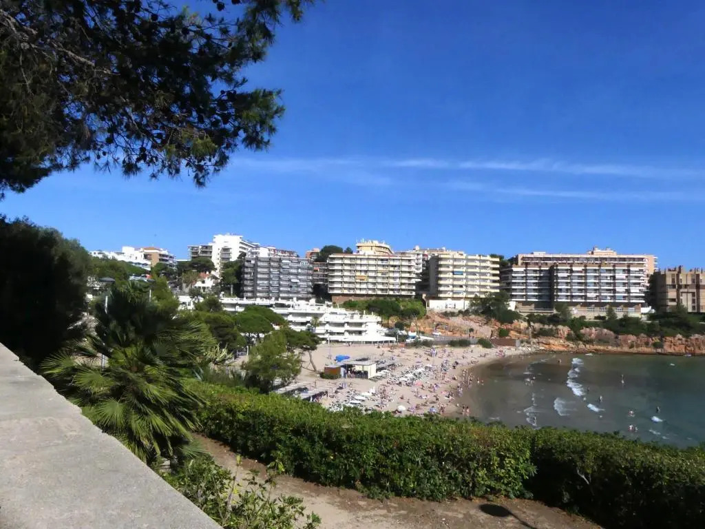 Sant Jordi Zeus Basic