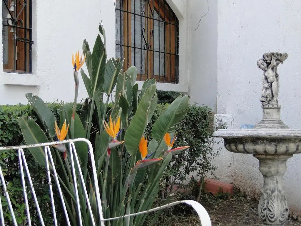 Posada Flor y Nata