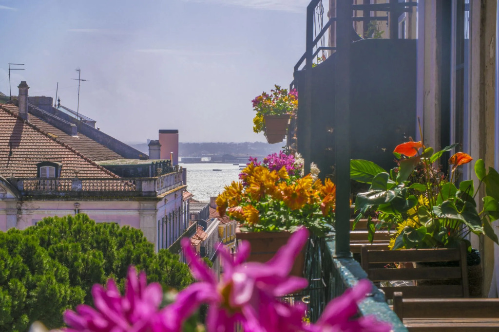 Casinha das Flores