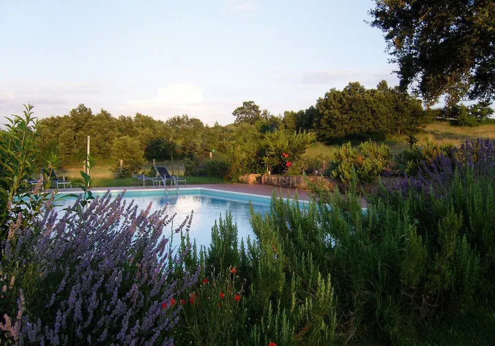 Agriturismo Borgo di Campagna Il Tesoro