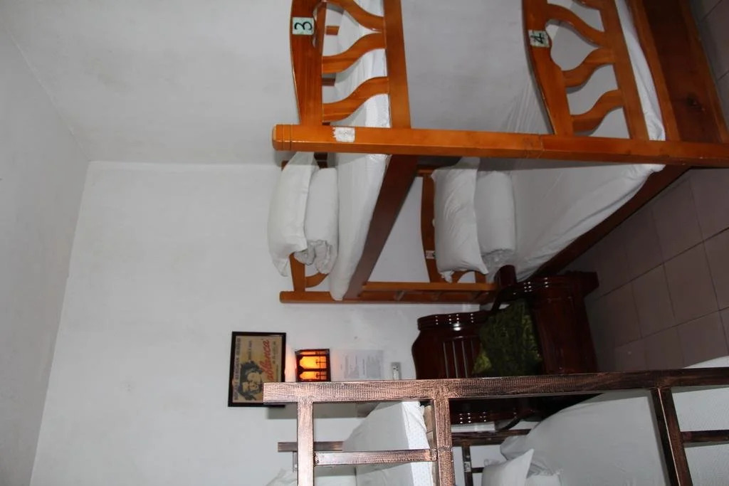 Monkey Jane's Guesthouse