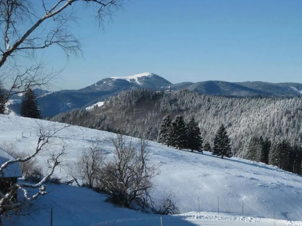 Berggasthaus Gisiboden Alm